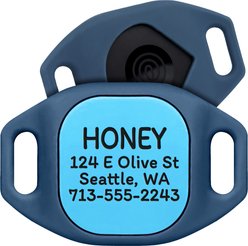 GoTags Life360 Tile Mate Personalized Tracker Holder Dog Collar Accessory, Blue, Small