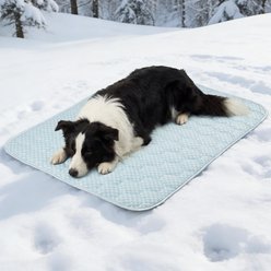 Heeyoo Double-Side Designed Cooling Washable Thicken Cooling Mat Dog Bed, Blue, 44.0 x 32.0-in
