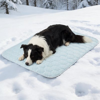 Heeyoo Heeyoo Double-Side Designed Cooling Washable Thicken Cooling Mat Dog Bed, Blue, 44.0 x 32.0-in