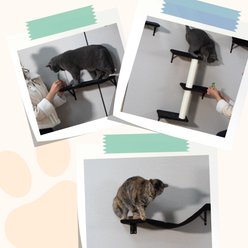 Coziwow Wall Mounted Shelves Set Cat Tree, Black, 5-Pack slide 2 of 9