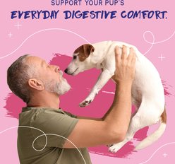 PupGrade Digestive Support Duck Flavored Supplement for Dogs, 120 count slide 2 of 7