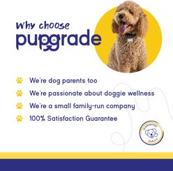 PupGrade Prebiotics + Probiotics Enzyme Blend Digestive Health Support Peanut Butter Flavored Soft Chew Supplment for Dogs, 60 count slide 2 of 6