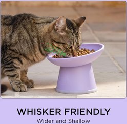 Necoichi 15° Tilted BPA-Free Elevated Plastic Cat Bowl, White & Light Purple, 2-cup, 2 count slide 2 of 9