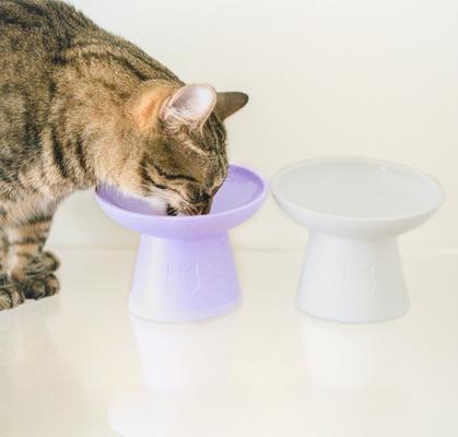 best dog bowl to keep water cold Heated Water Bowl for Dog, Cat & Small Pets – 74.4oz Thermal Dish – Furzima  Pets main image 0