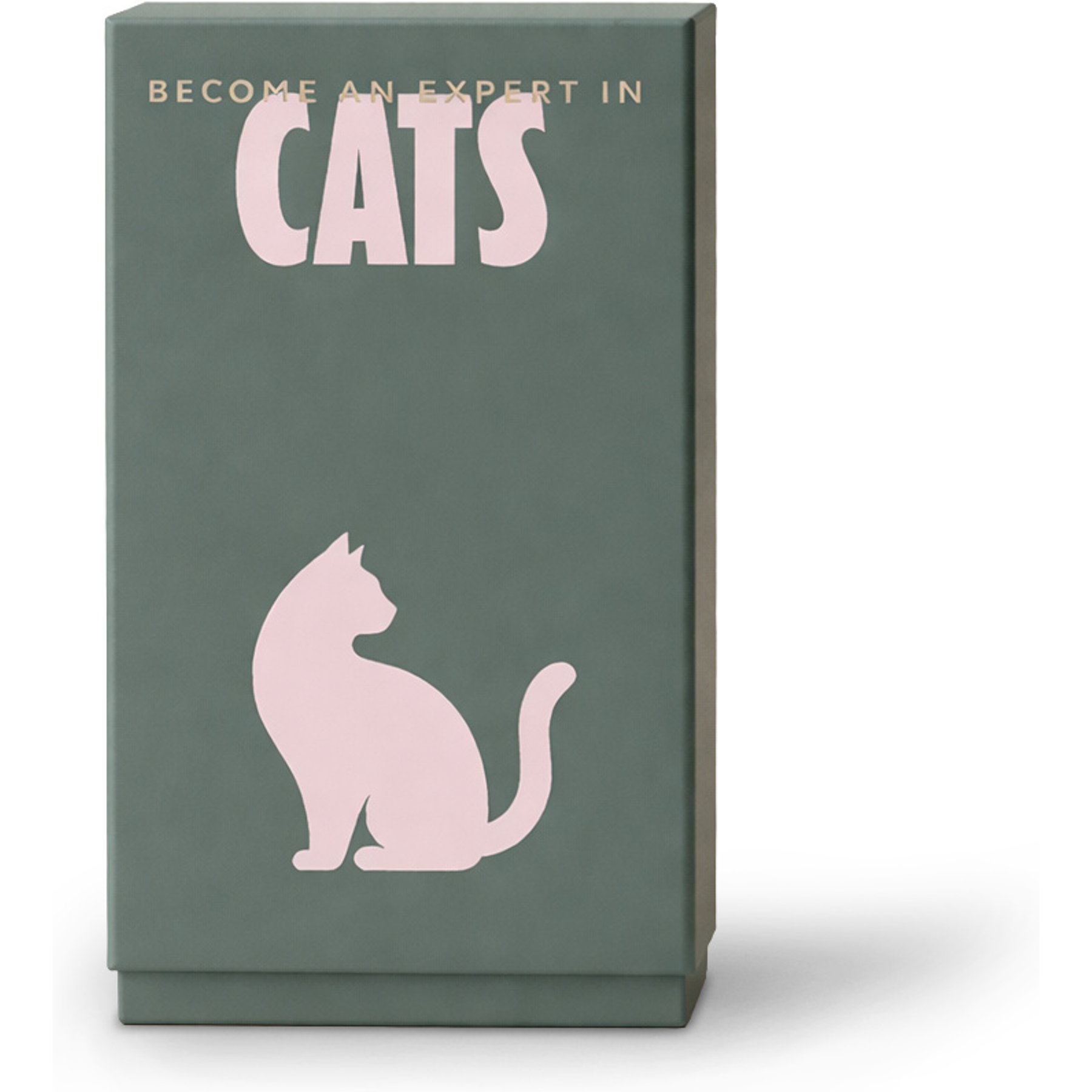 Pikkii Become an Expert in Cats Christmas Stocking