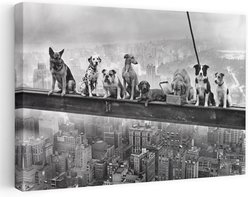 Trend Board Life Lunch Atop a Skyscraper Dog Edition Canvas Wall Art Pet Gift Decor, Multicolor, 18 x 12-in