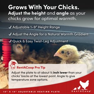 RentACoop Chick Brooder Heating Plate, 10 x 10-in, 15 watt