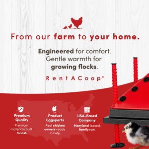 RentACoop Chick Brooder Heating Plate, 10 x 10-in, 15 watt