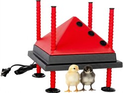 RentACoop Chick Brooder Heating Plate, 10 x 10-in, 15 watt