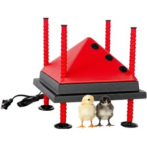 RentACoop Chick Brooder Heating Plate, 10 x 10-in, 15 watt