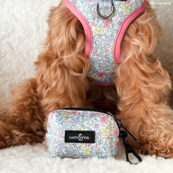 Lucy & Co. Ditsy Daydream Dog Poop Bag Holder slide 2 of 4