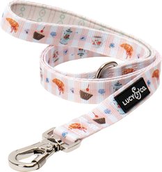 Lucy & Co. Sipping Slowly Dog Leash, Small: 5-ft long, 0.6-in wide