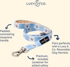 Lucy & Co. Bumbling Around Dog Leash, Small: 5-ft long, 0.6-in wide slide 2 of 5
