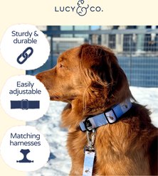 Lucy & Co. Bumbling Around Dog Collar, Small: 8 to 14-in neck, 1/2-in wide slide 2 of 5