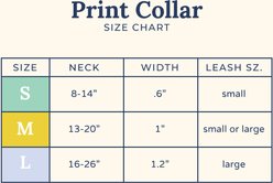 Lucy & Co. Bumbling Around Dog Collar, Medium: 13 to 20-in neck, 1-in wide slide 2 of 5