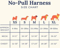 Lucy & Co. Ditsy Daydream No-Pull Dog Harness, X-Small: 12 to 15-in chest slide 2 of 7