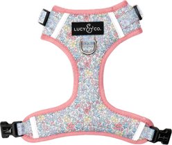 Lucy & Co. Ditsy Daydream No-Pull Dog Harness, X-Large: 23 to 32-in chest