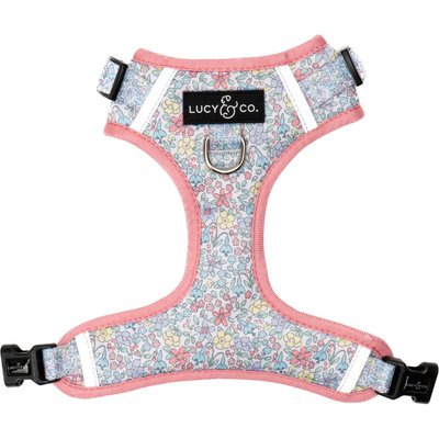 Lucy & Co. Lucy & Co. Ditsy Daydream No-Pull Dog Harness, X-Small: 12 to 15-in chest