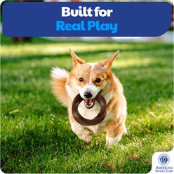 American Kennel Club Beef Scented Training Assorted Dog Chew Toy, 3 count slide 2 of 5