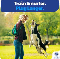 American Kennel Club Chicken Scented Training Assorted Dog Chew Toy, 2 count slide 2 of 5