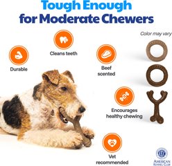 American Kennel Club Training Wishbone & Ring Dog Chew Toy, 2 count slide 2 of 5