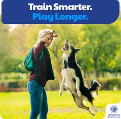 American Kennel Club Training Wishbone & Ring Dog Chew Toy, 2 count slide 2 of 5