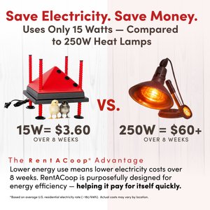 RentACoop Chick Brooder Heating Plate, 10 x 10-in, 15 watt