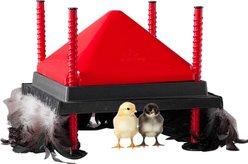 RentACoop Chick Brooder Heating Plate & Anti-Roost Cone Set, 12 x 12-in, 22 watt
