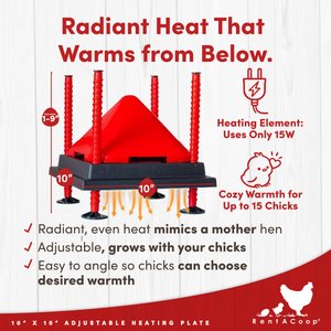 RentACoop Chick Brooder Heating Plate & Anti-Roost Cone Set, 10 x 10-in, 15 watt