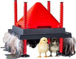 RentACoop Chick Brooder Heating Plate & Anti-Roost Cone Set, 10 x 10-in, 15 watt