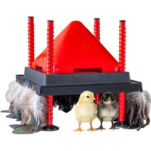 RentACoop Chick Brooder Heating Plate & Anti-Roost Cone Set, 10 x 10-in, 15 watt