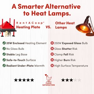 RentACoop Chick Brooder Heating Plate, 10 x 10-in, 15 watt