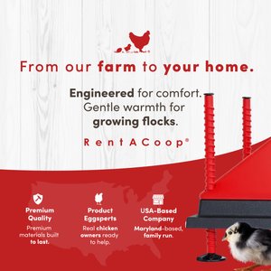 RentACoop Chick Brooder Heating Plate, 12 x 12-in, 22 watt