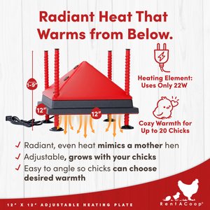 RentACoop Chick Brooder Heating Plate, 12 x 12-in, 22 watt