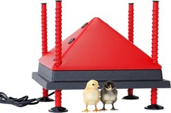 RentACoop Chick Brooder Heating Plate, 12 x 12-in, 22 watt