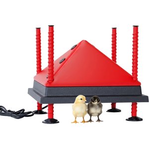 RentACoop Chick Brooder Heating Plate, 12 x 12-in, 22 watt