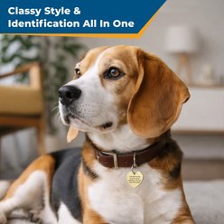GoTags Brass Engraved Personalized Dog & Cat ID Tag, Heart, Regular slide 2 of 6