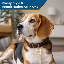 GoTags Brass Engraved Personalized Dog & Cat ID Tag, Bone, Regular slide 2 of 6