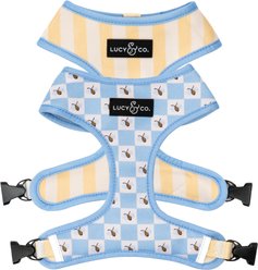 Lucy & Co. Bumbling Around Reversible Dog Harness, Large: 20 to 28-in chest