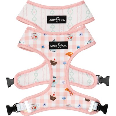 Lucy & Co. Lucy & Co. Sipping Slowly Reversible Dog Harness, Large: 20 to 28-in chest