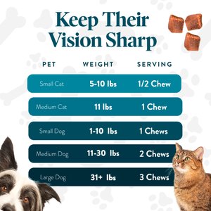 OcluVet Chicken Flavored Chew Vision Supplement for Dogs & Cats, 60 count