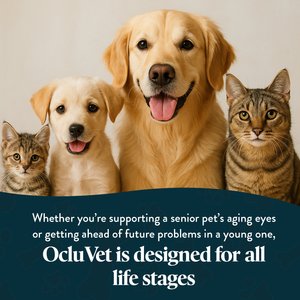 OcluVet Chicken Flavored Chew Vision Supplement for Dogs & Cats, 60 count
