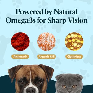 OcluVet Chicken Flavored Chew Vision Supplement for Dogs & Cats, 60 count