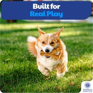 American Kennel Club Y-Shaped Bone Dog Chew Toy