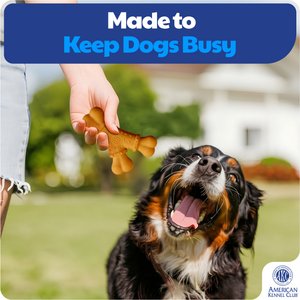 American Kennel Club Y-Shaped Bone Dog Chew Toy