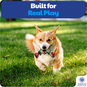 American Kennel Club V-Shaped Meat Bone Dog Chew Toy