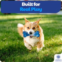 American Kennel Club Ombre Bone Dog Chew Toy slide 2 of 5