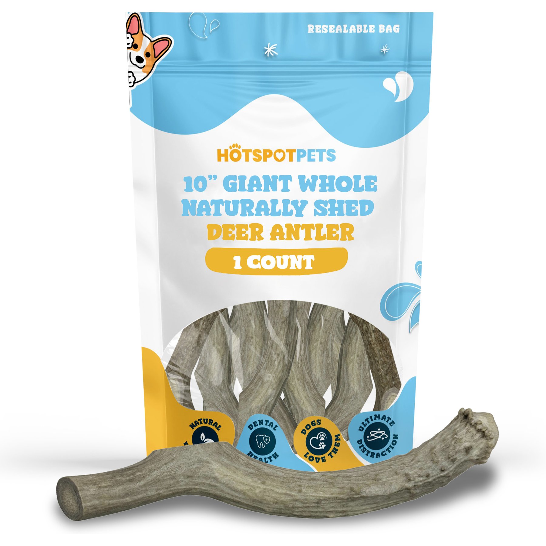 HOTSPOT PETS Giant Whole Naturally Shed 10-in Deer Antler Dog Treats, 1 count