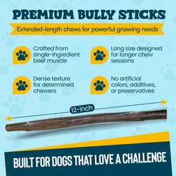 HOTSPOT PETS 12-in Premium Individually Wrapped Bully Sticks Dog Treats, 24 count slide 2 of 6
