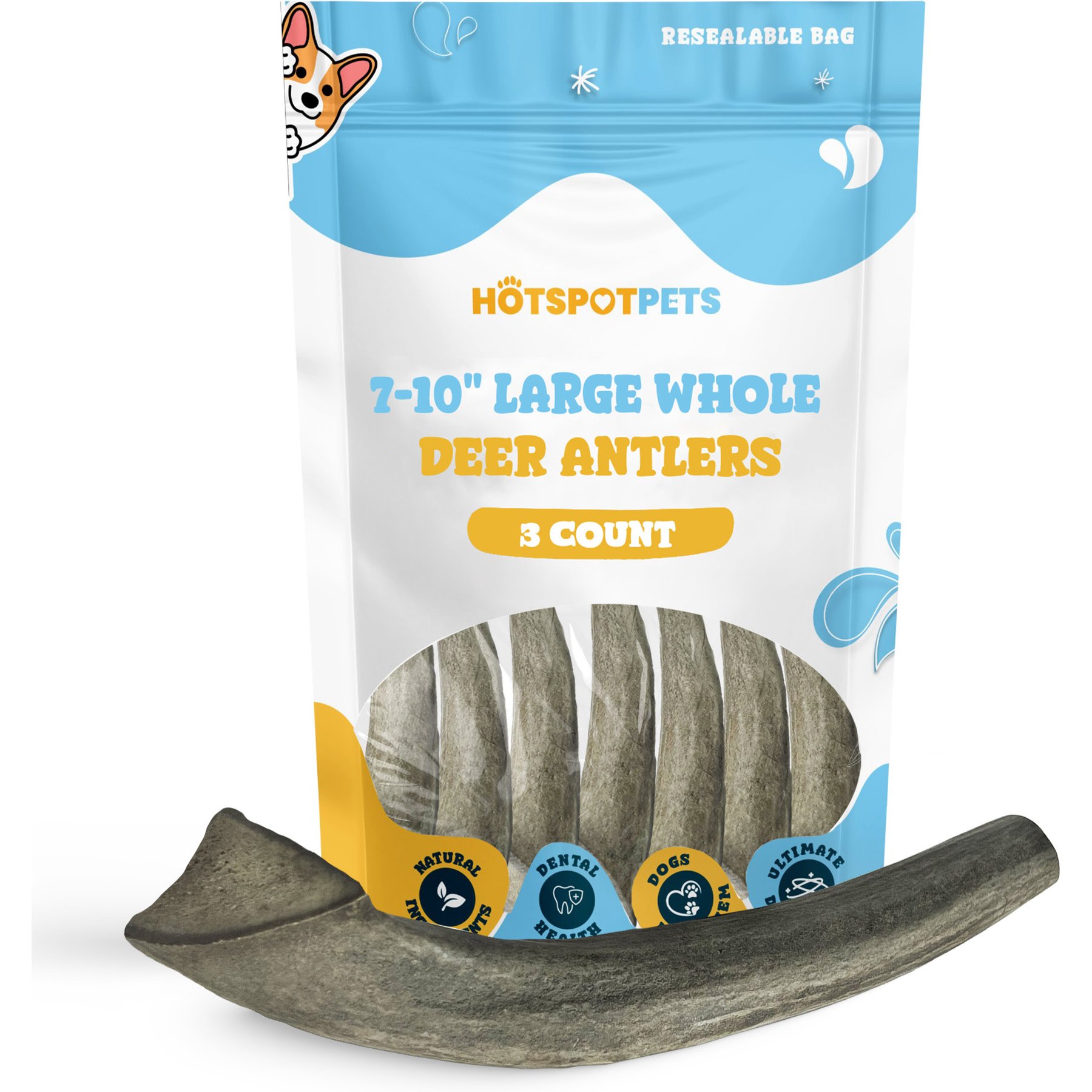 HOTSPOT PETS 7 to 10-in Whole Deer Antler Dog Treats, Large, 3 count